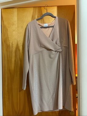 Serra Shimmery Beige Wrap-Front Long Sleeve Dress